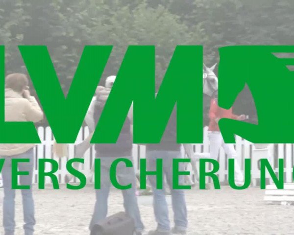 Stuten- und Fohlenschau in Werne 2016