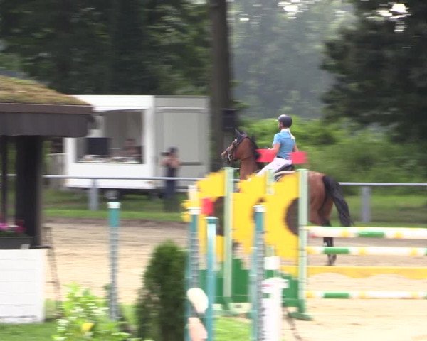 Reitturnier Datteln 2021