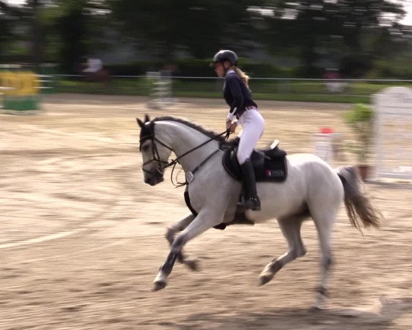 Reitturnier Datteln 2021