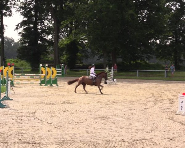 Reitturnier Datteln 2021