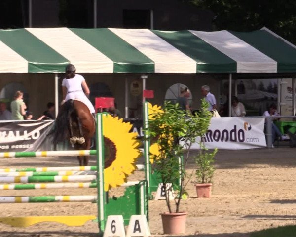Reitturnier Datteln 2021