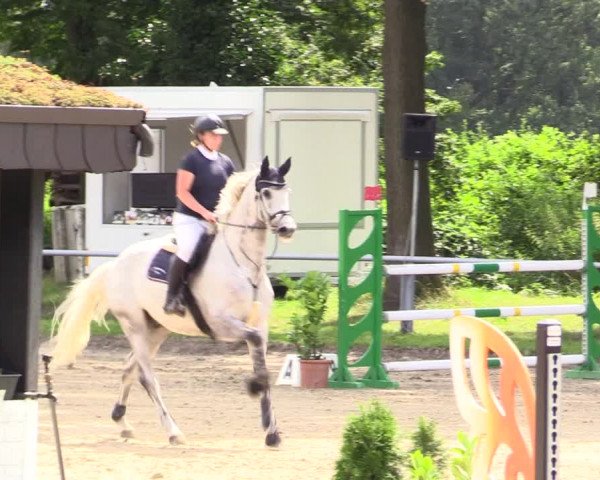 Reitturnier Datteln 2021