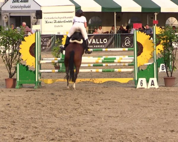Reitturnier Datteln 2021