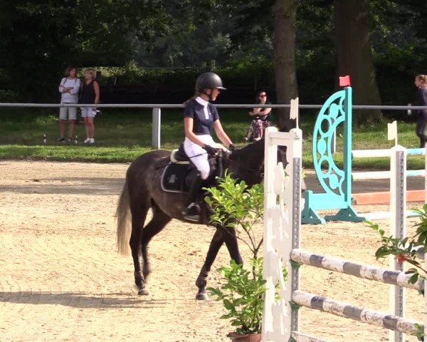 Reitturnier Datteln 2021