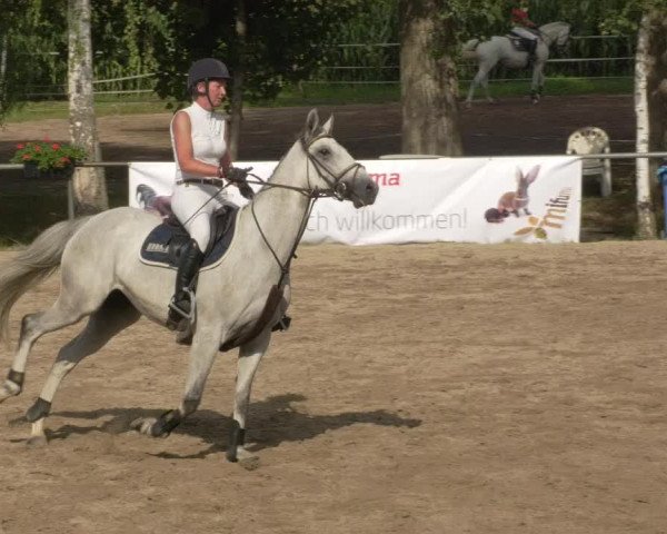 Springturnier und Reiterfest Königsbach 2021