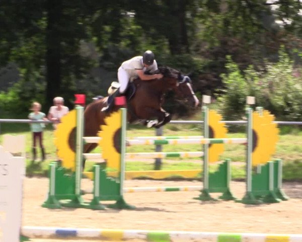 Reitturnier Datteln 2021