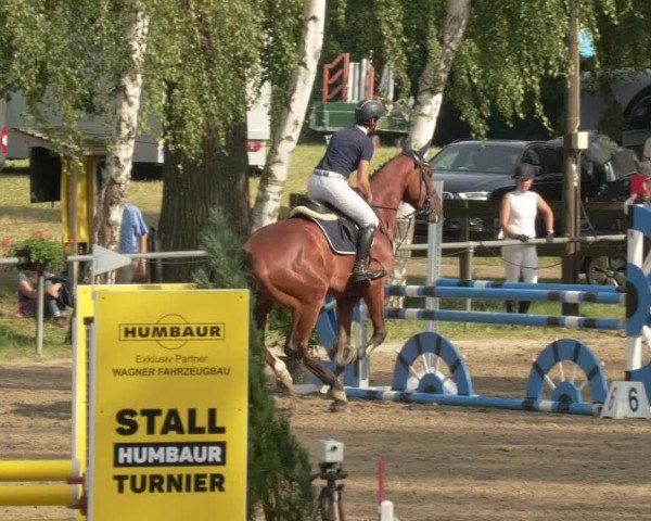 Springturnier und Reiterfest Königsbach 2021