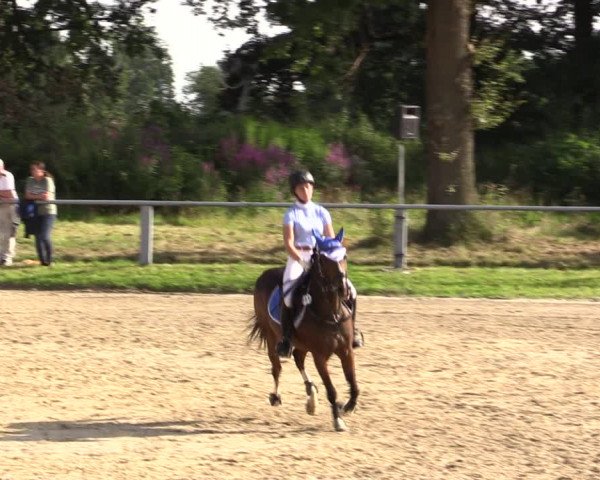 Reitturnier Datteln 2021