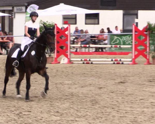 Reitturnier Datteln 2021