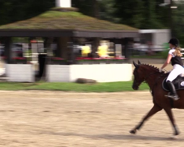 Reitturnier Datteln 2021