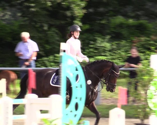 Reitturnier Datteln 2021