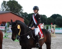 jumper Funke 18 (Nederlands Welsh Ridepony, 2002, from Valentino)