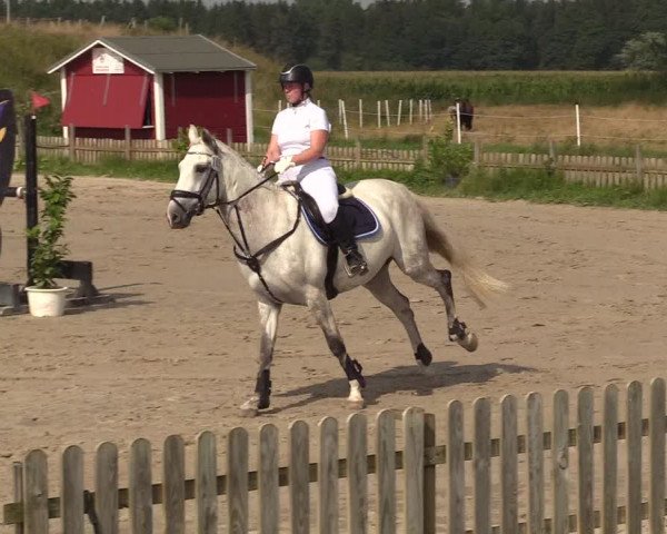 Reitturnier Schülp / Rendsburg 2021