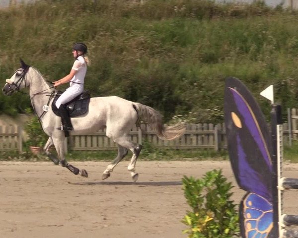 Reitturnier Schülp / Rendsburg 2021
