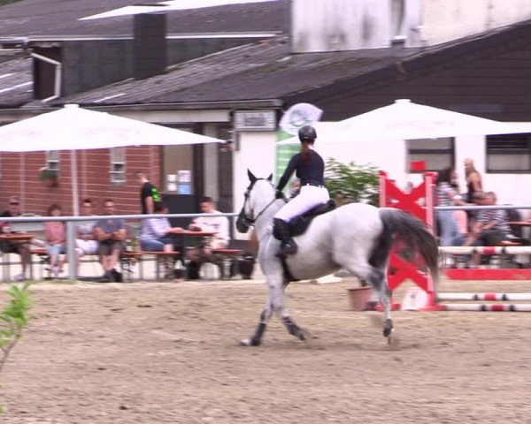 Reitturnier Datteln 2021