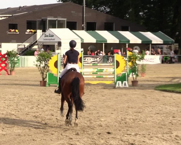 Reitturnier Datteln 2021