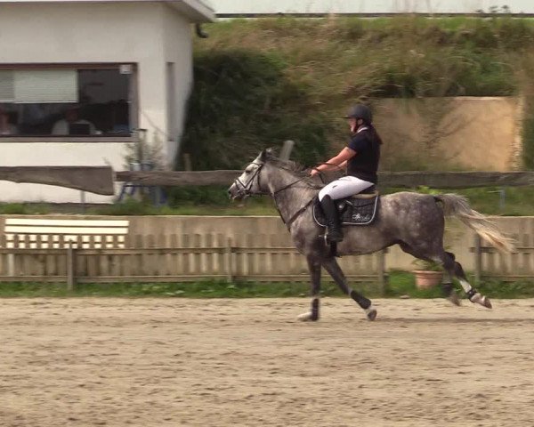 Reitturnier Schülp / Rendsburg 2021