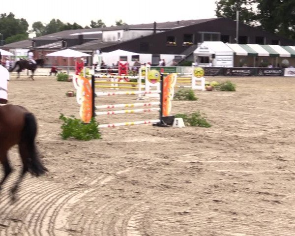 Reitturnier Datteln 2021
