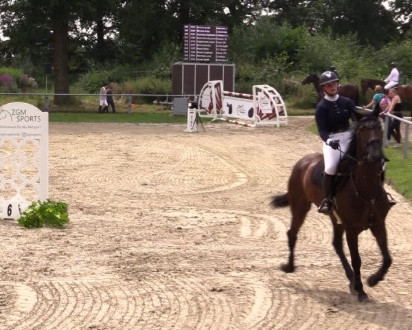Reitturnier Datteln 2021