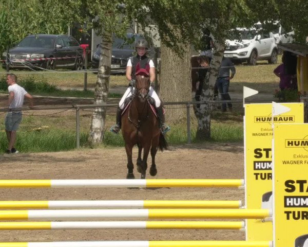 Springturnier und Reiterfest Königsbach 2021