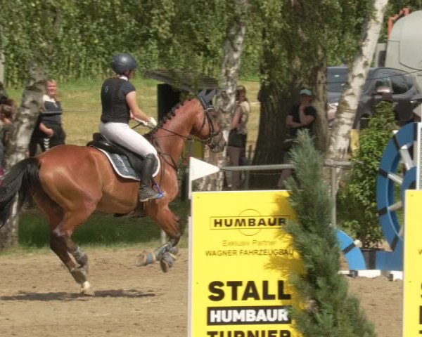 Springturnier und Reiterfest Königsbach 2021