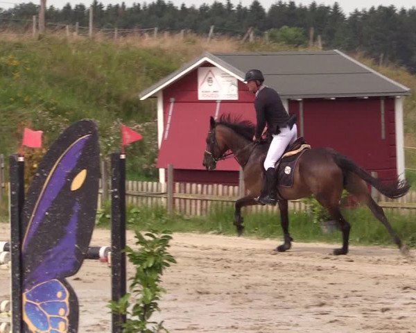 Reitturnier Schülp / Rendsburg 2021