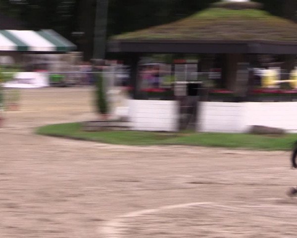 Reitturnier Datteln 2021