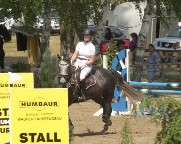 Springturnier und Reiterfest Königsbach 2021