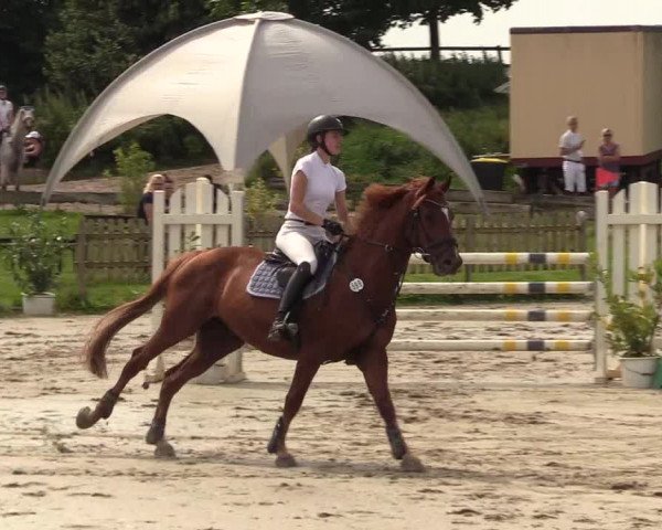 Reitturnier Schülp / Rendsburg 2021