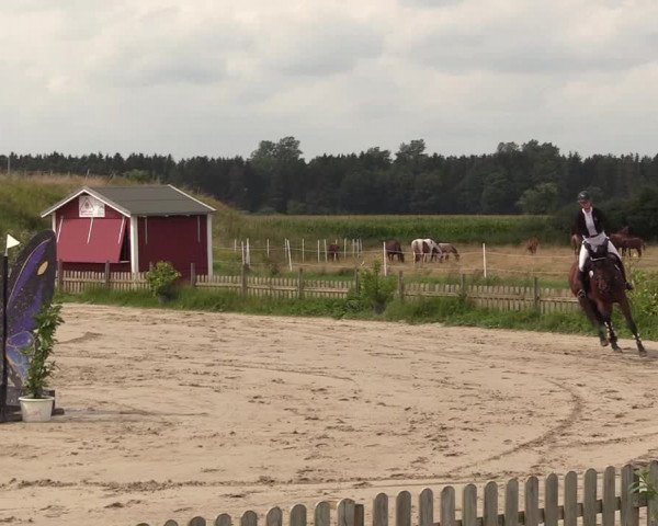 Reitturnier Schülp / Rendsburg 2021