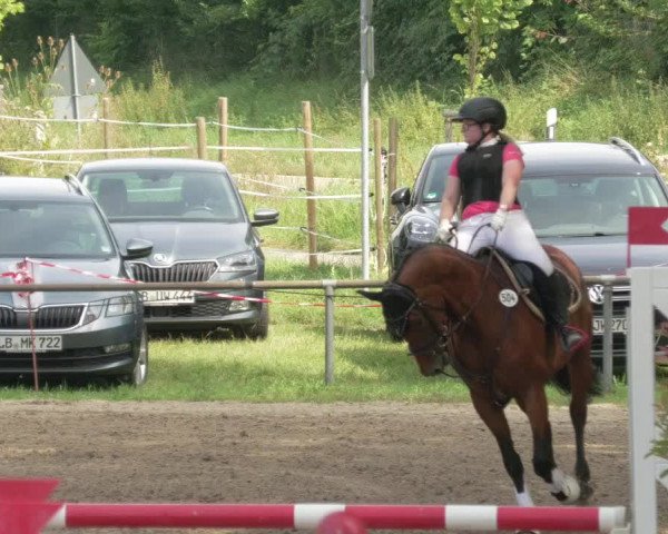 Springturnier und Reiterfest Königsbach 2021