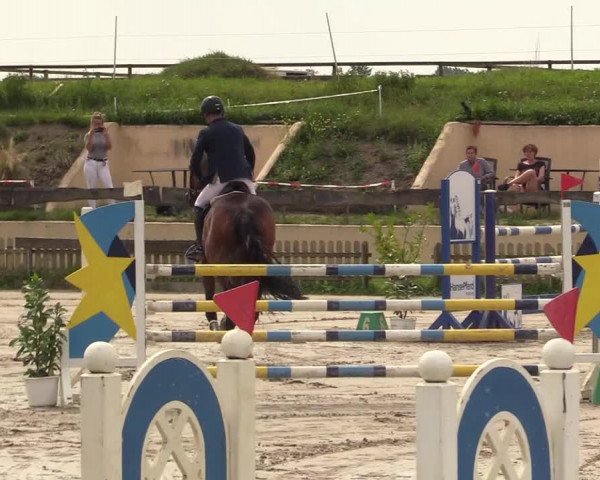 Reitturnier Schülp / Rendsburg 2021