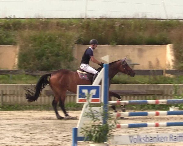 Reitturnier Schülp / Rendsburg 2021