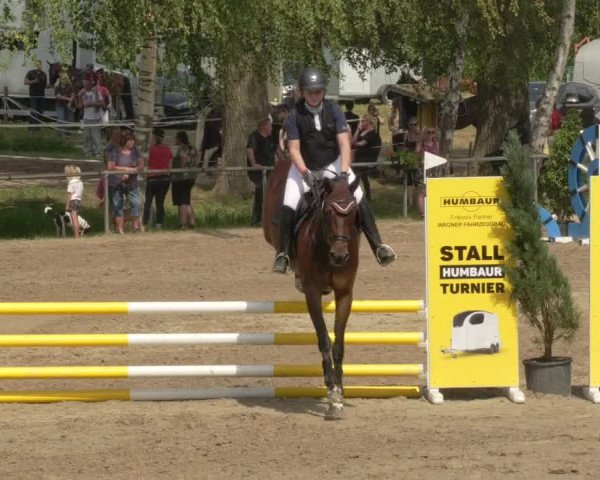 Springturnier und Reiterfest Königsbach 2021