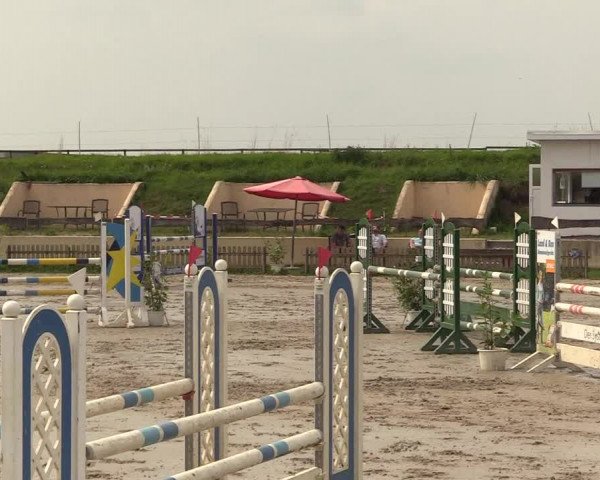Reitturnier Schülp / Rendsburg 2021