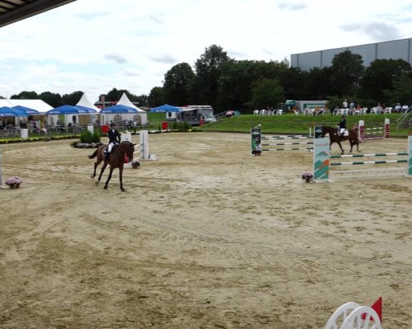 Reitturnier Kirchhoven-Vinn 2021