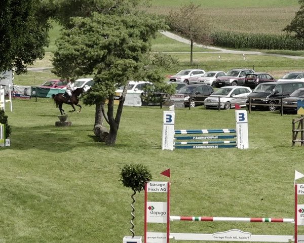 Springkonkurrenz Aadorf 2021