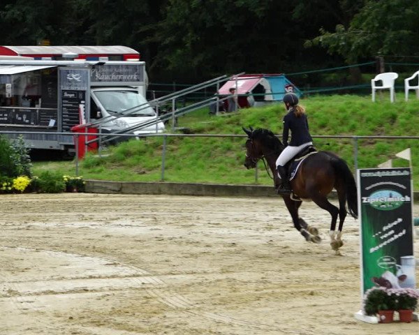 Reitturnier Kirchhoven-Vinn 2021