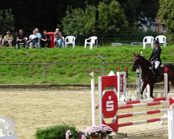 Reitturnier Kirchhoven-Vinn 2021