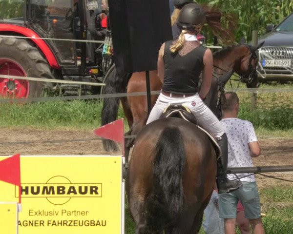 Springturnier und Reiterfest Königsbach 2021
