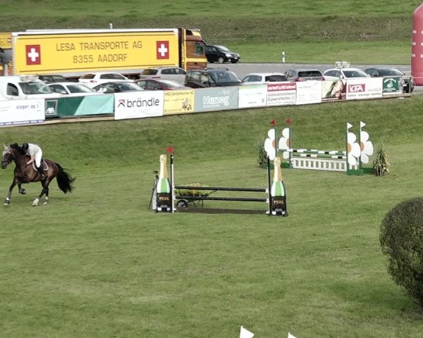 Springkonkurrenz Aadorf 2021