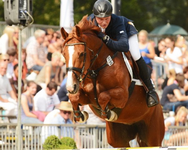 Springpferd Lorielle 2 (Westfale, 2008, von Lordanos)