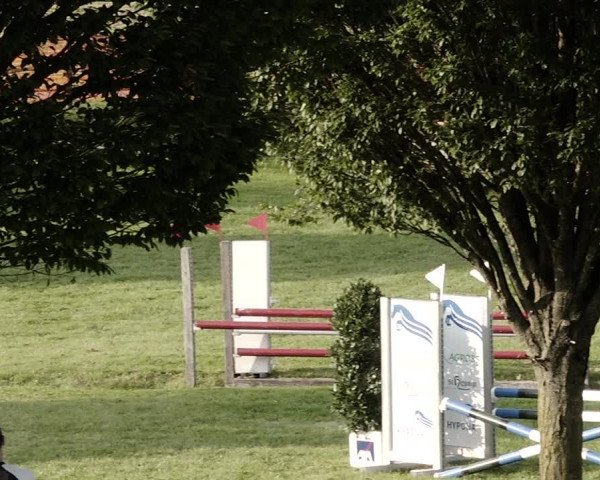 Springkonkurrenz Aadorf 2021