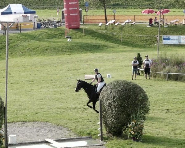 Springkonkurrenz Aadorf 2021