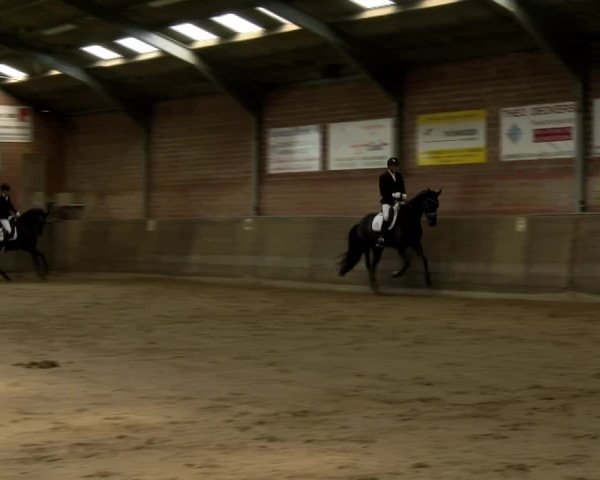 Reitturnier Kirchhoven-Vinn 2021