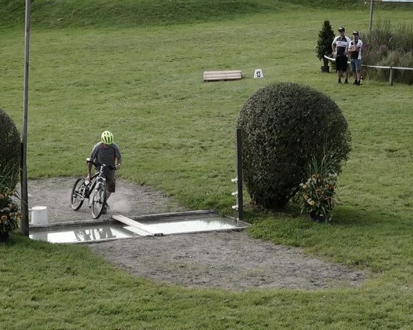 Springkonkurrenz Aadorf 2021
