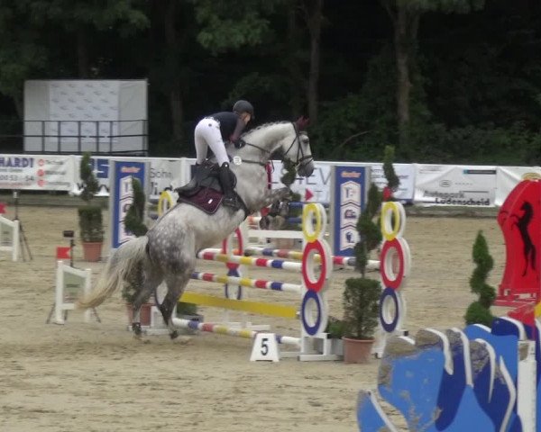 Bergisch Classics - Bergisch Gladbach - Springen 2021