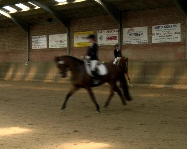 Reitturnier Kirchhoven-Vinn 2021