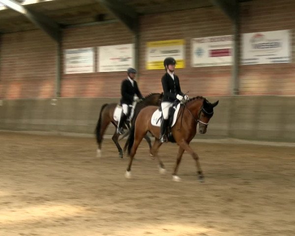 Reitturnier Kirchhoven-Vinn 2021