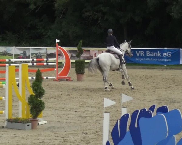 Bergisch Classics - Bergisch Gladbach - Springen 2021